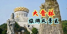 97AV骚寡妇色视频中国浙江-绍兴大香林旅游风景区